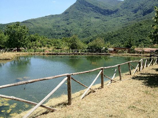 Bed and Breakfast La Mandra Morino Exterior foto