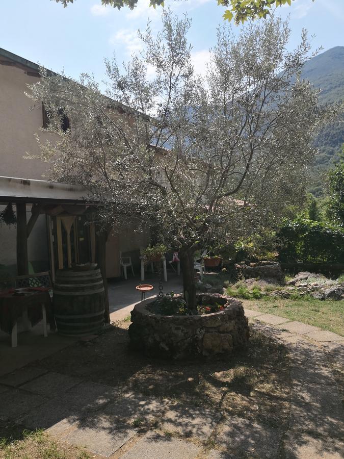 Bed and Breakfast La Mandra Morino Exterior foto